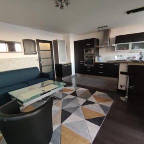 Appartement Moderne à La Porte de la Villette